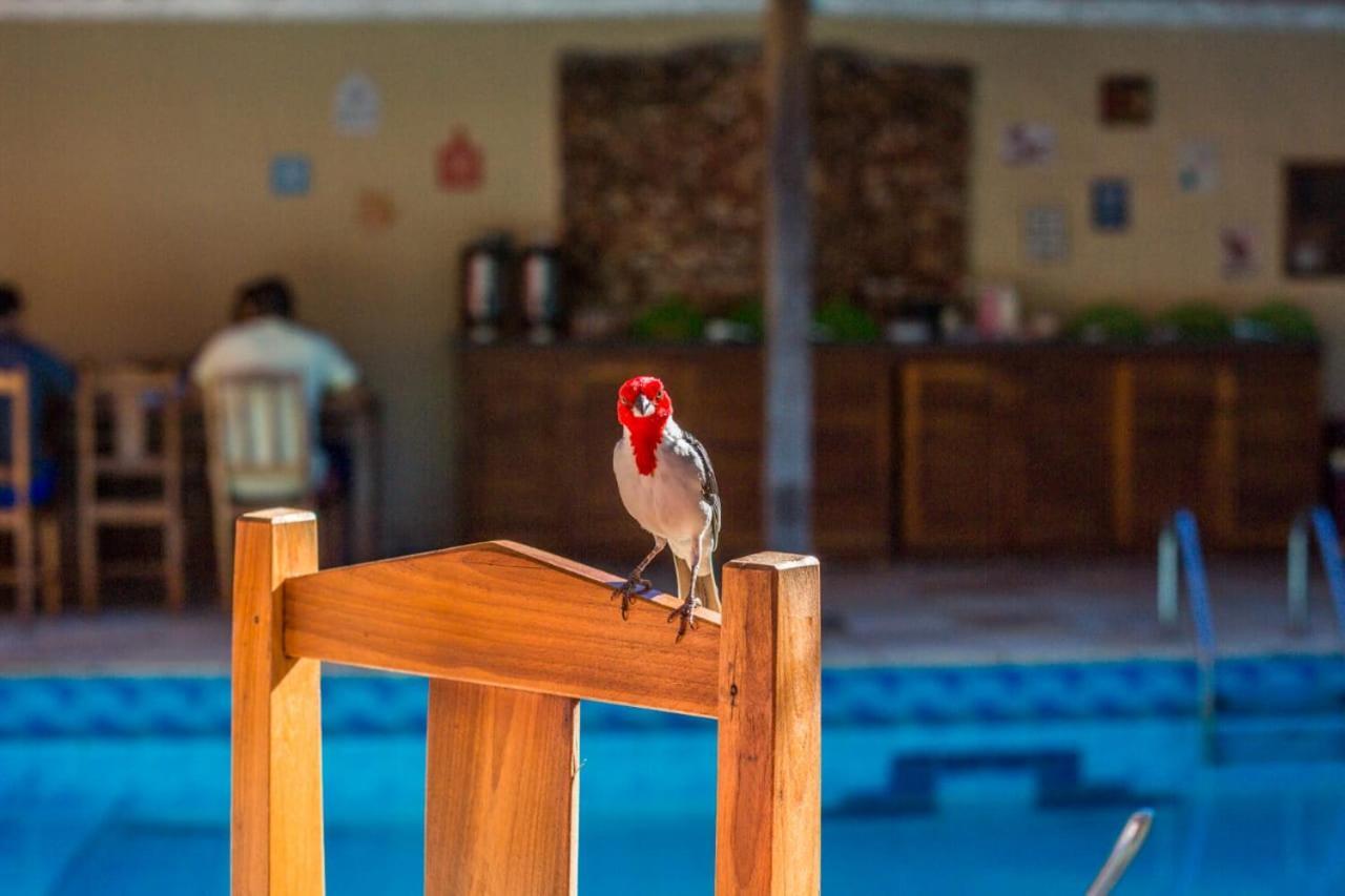 Viva Jeri Pousada Jijoca de Jericoacoara Exterior foto